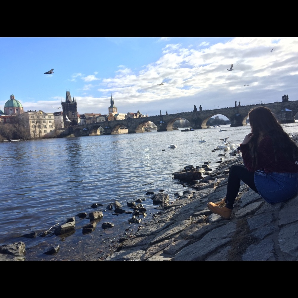 Meet your Posher, Nari